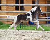 wenige Tage alt